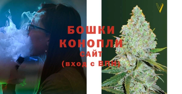 шишки Богданович